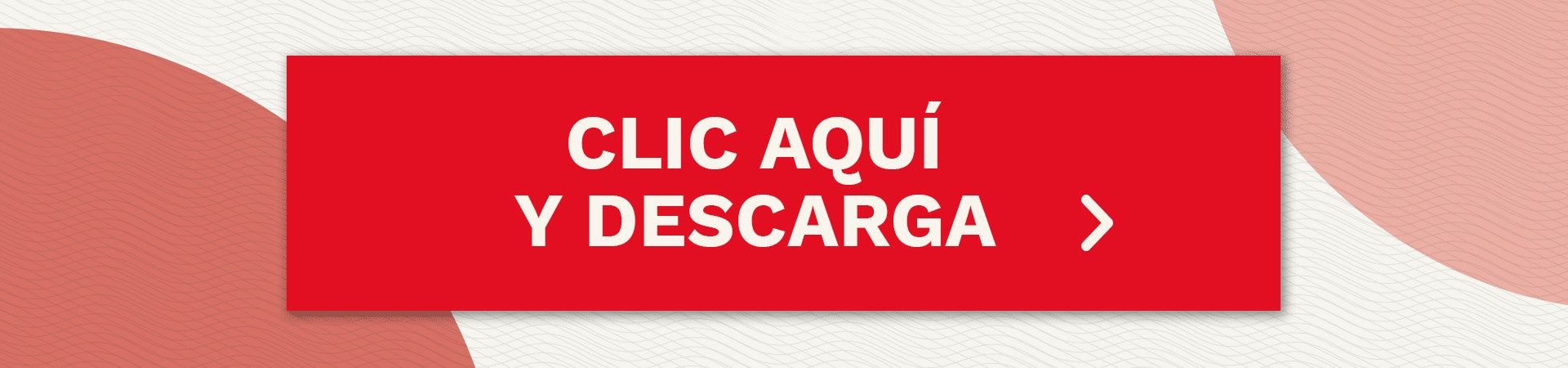 descarga el libro de recetas