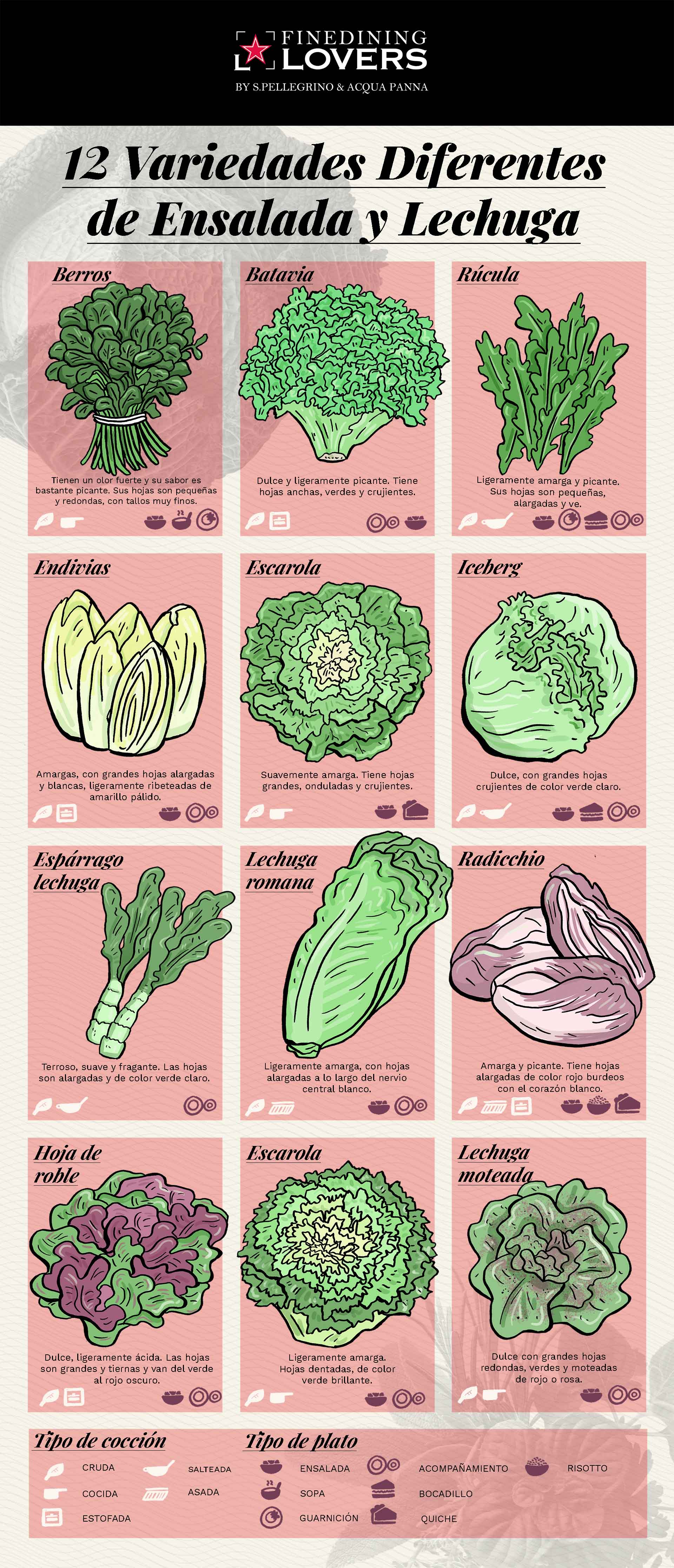variedades de lechuga infografia