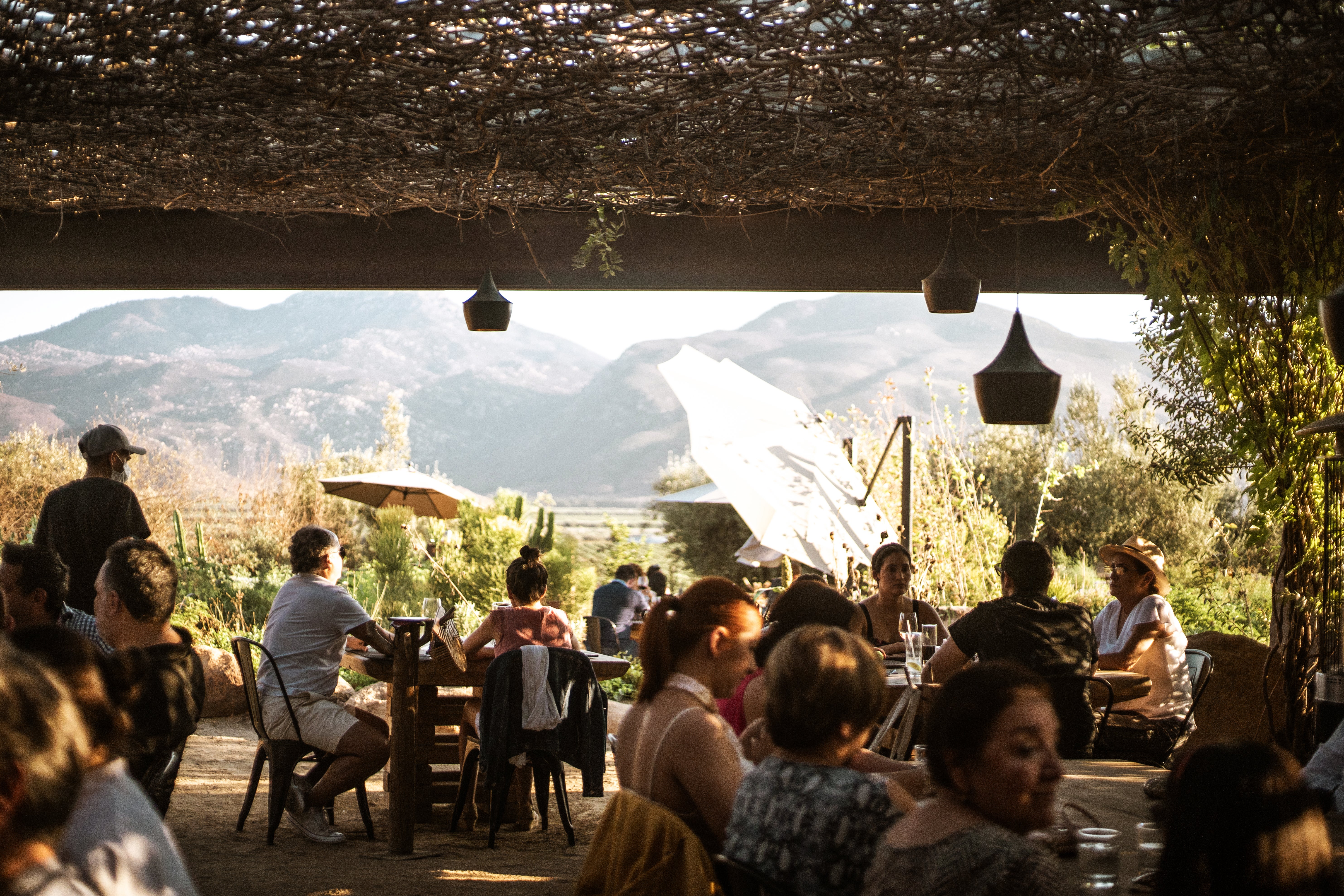 Restaurante Fauna interior