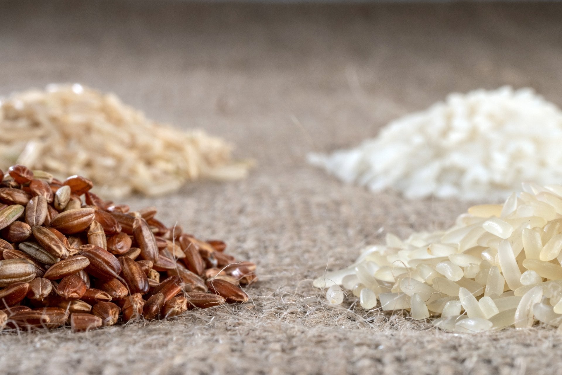 arroz-blanco-perfecto-tipos