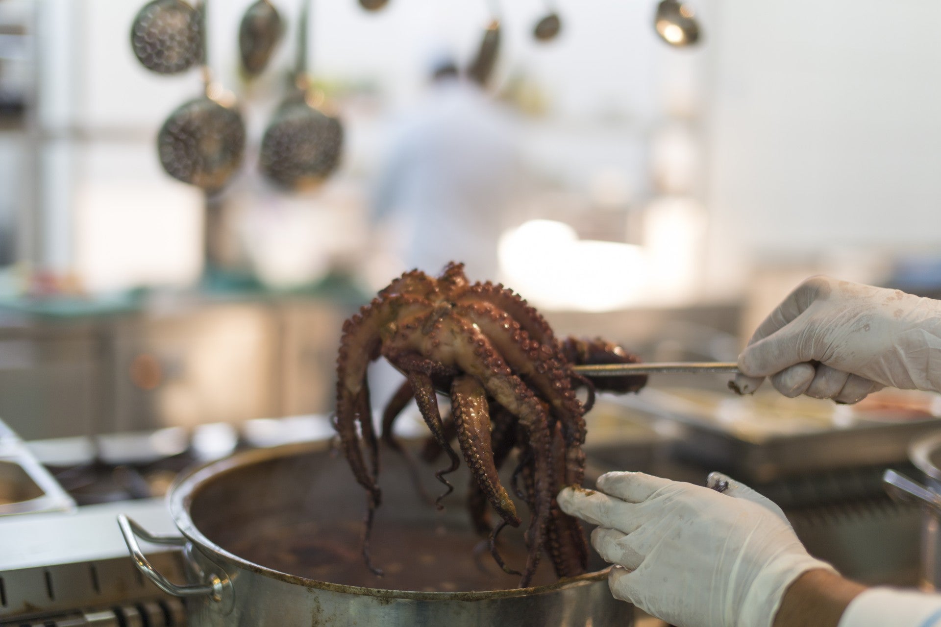 cocción-pulpo-en-olla-rapida