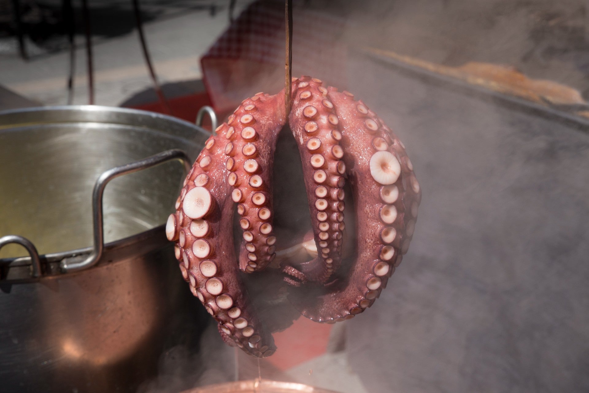 cocción-pulpo-para-que-te-quede-tiemo