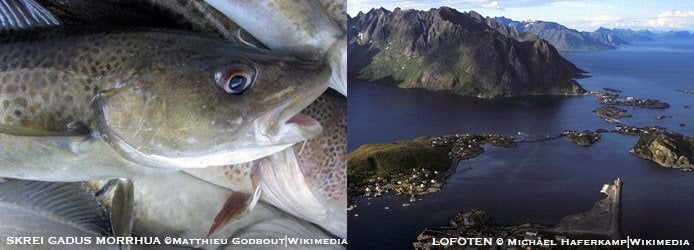 Lofoten