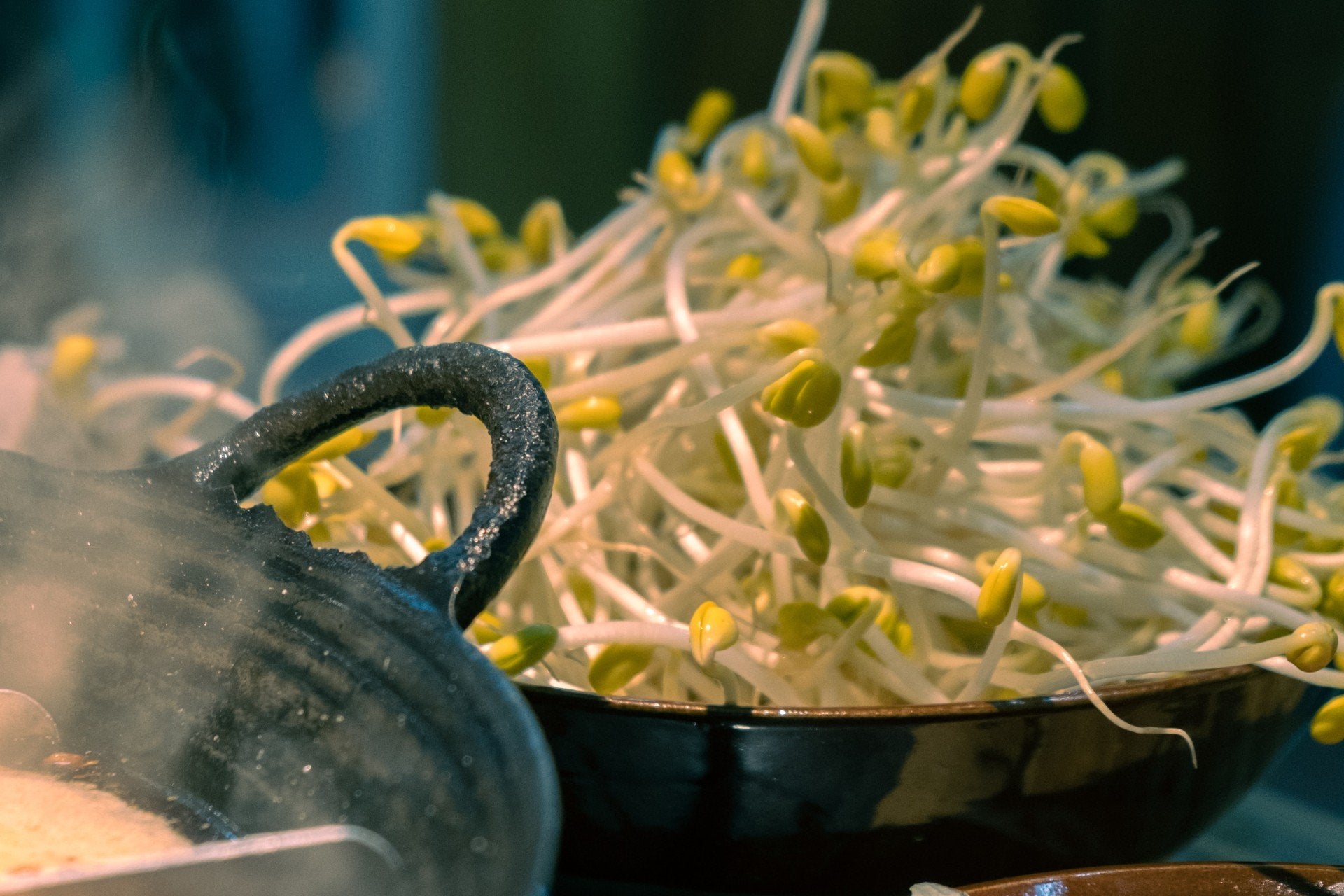 Brotes de soja crudos