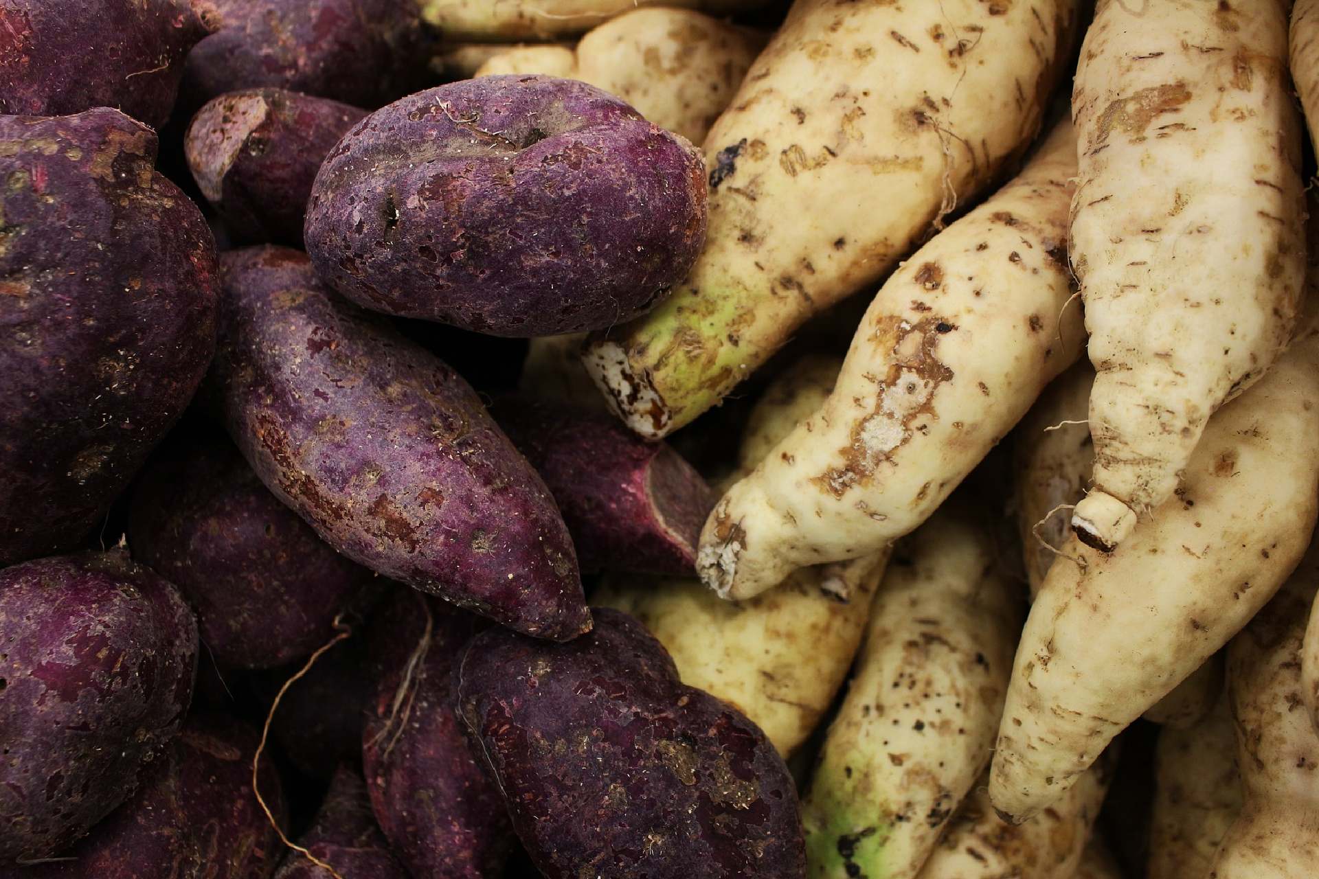 camote o batata dulce - Finedininglovers