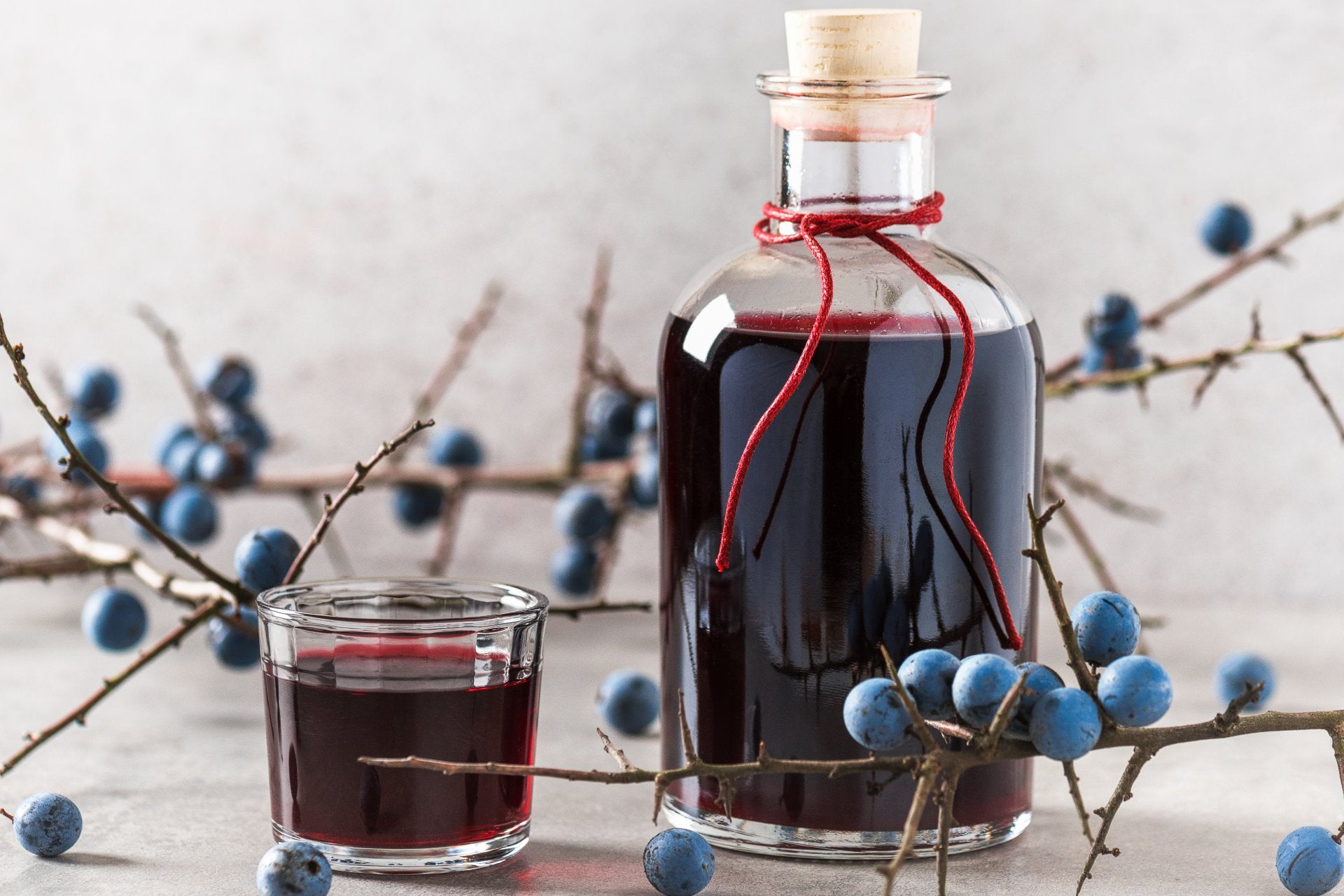 tipos-de-ginebra-sloe-gin