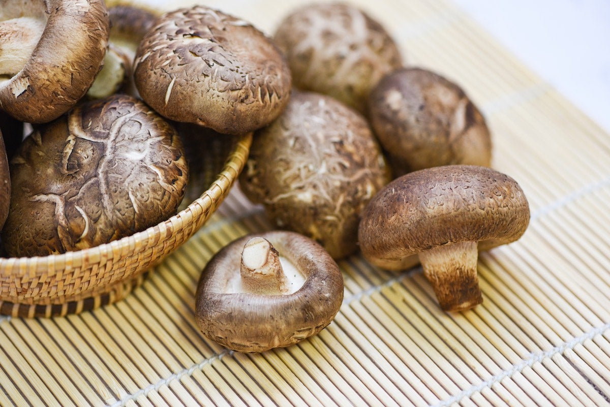 Shiitake