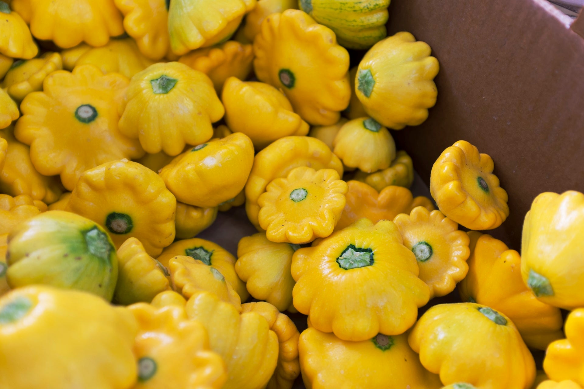 Calabacín Pâtisson