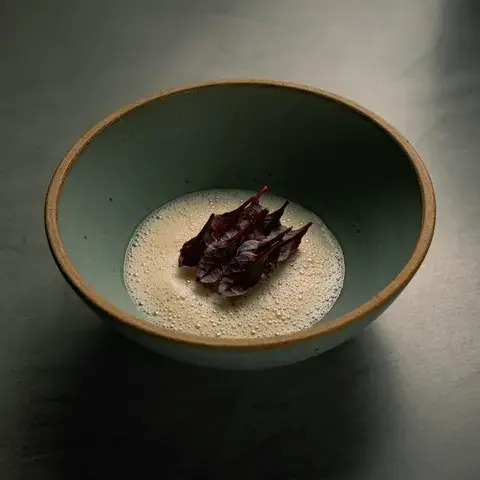 Palometa eviscerada de Pedro Chavarria