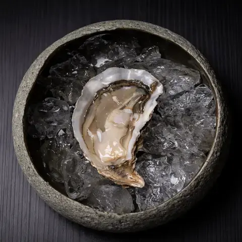 Ostra Patagónica de Crizia