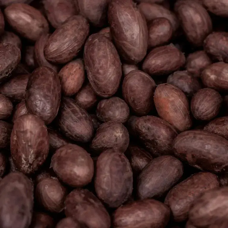 Cacao