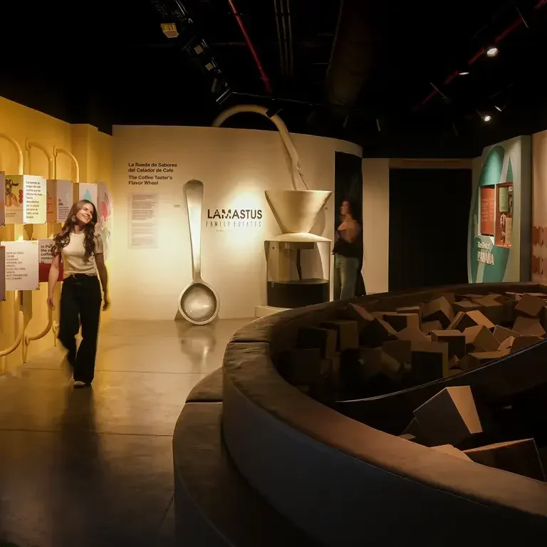 BEC Experience Center
