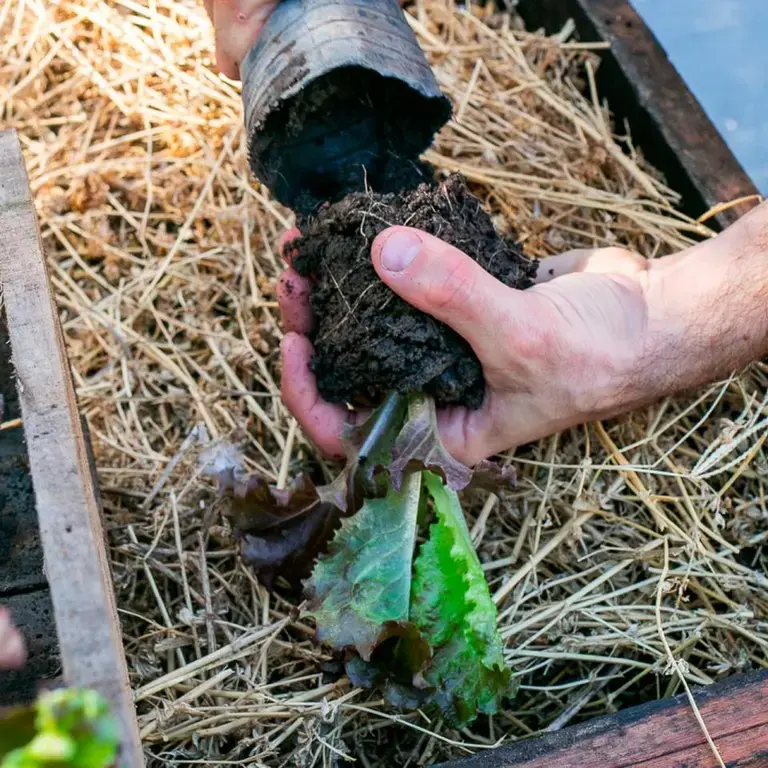 Parrilla Don Julio huerto urbano