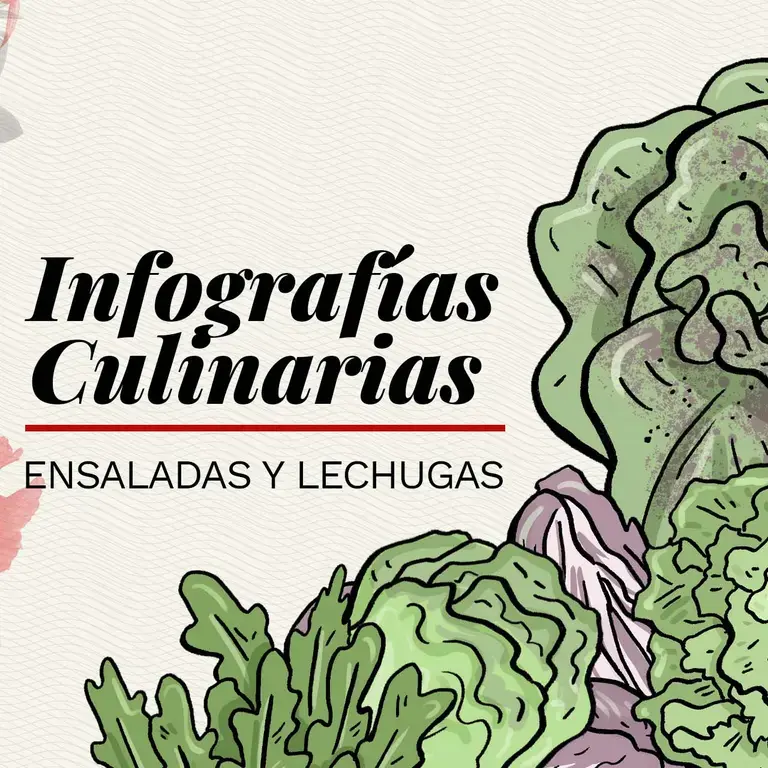 variedades de lechuga infografia