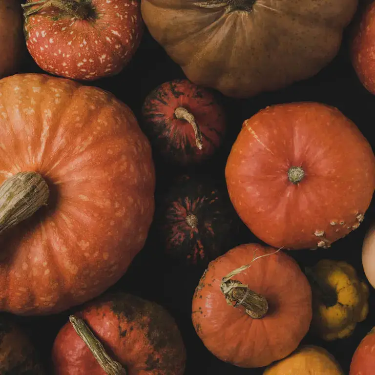 Tipos de calabazas - Fine Dining Lovers