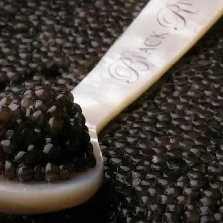 Caviar