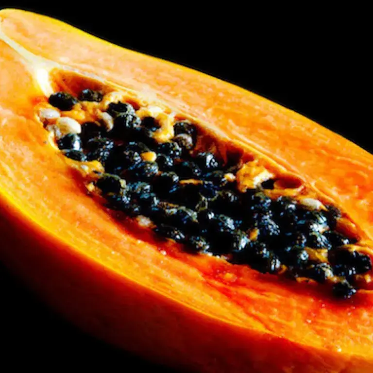Papaya