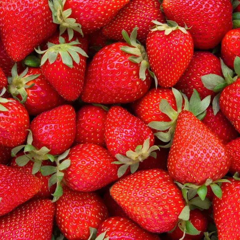 fresas