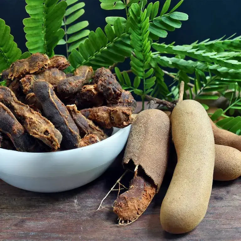 Tamarindo: propiedades, beneficios y usos