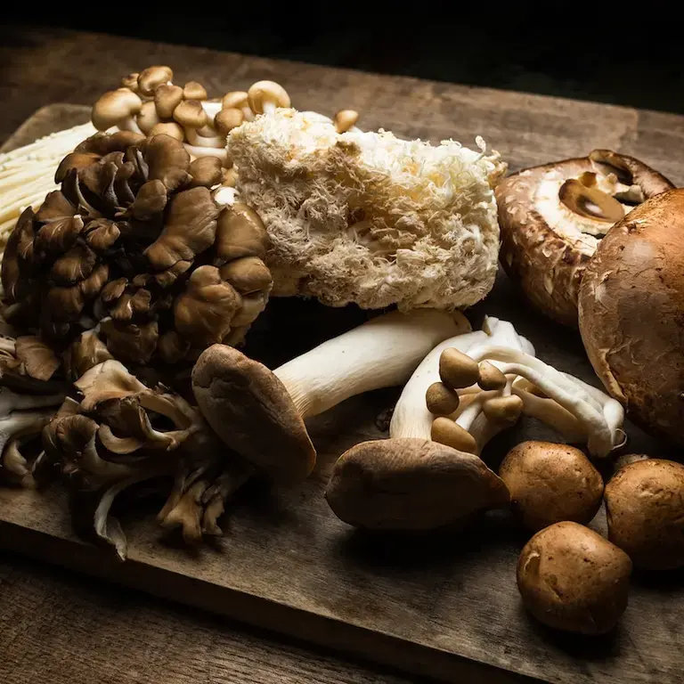 10 tipos de setas comestibles que deberías conocer