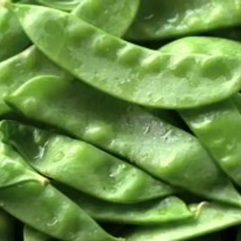 tirabeque o bisaltos - Finedininglovers