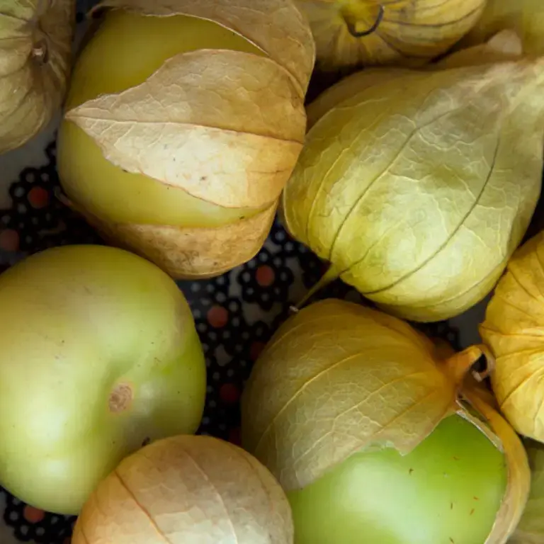 Tomatillo