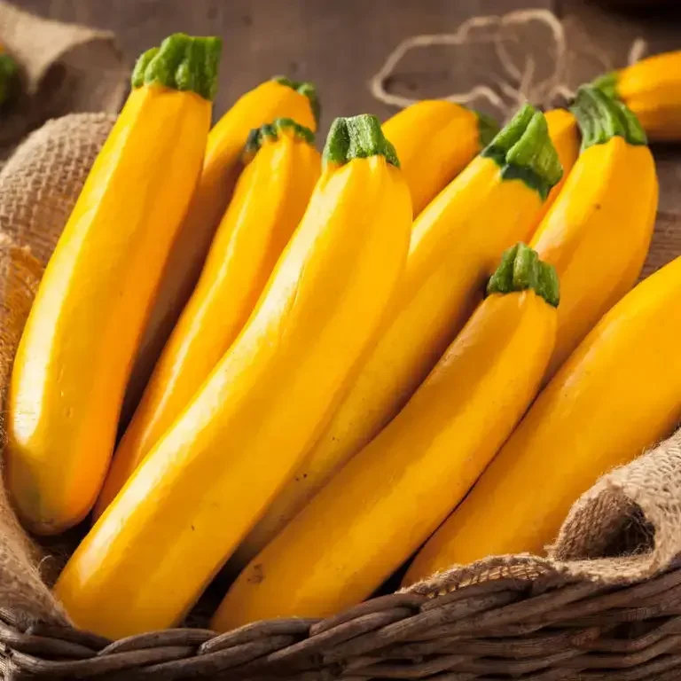 Calabaza amarilla - Fine Dining Lovers