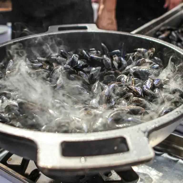 Casajas Rojas Barcelona