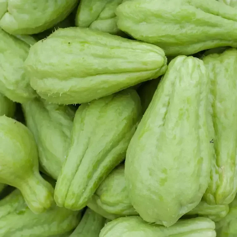 Chayote - Fine Dining Lovers