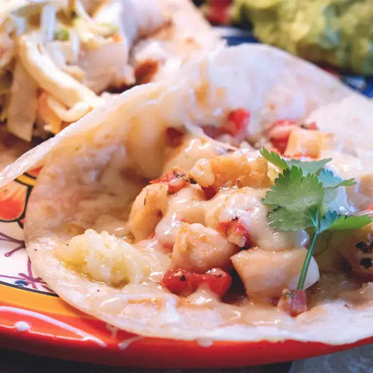 Fajitas_de_pulpo_y_verduras