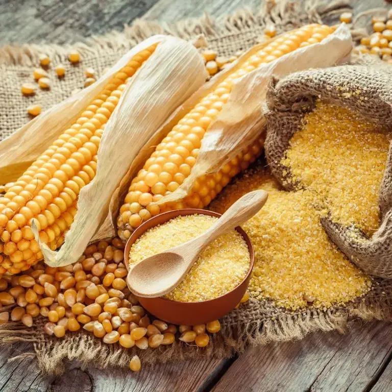 cereales-sin-gluten-maiz