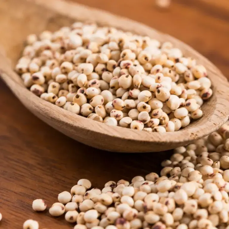 cereales-sin-gluten-sorgo