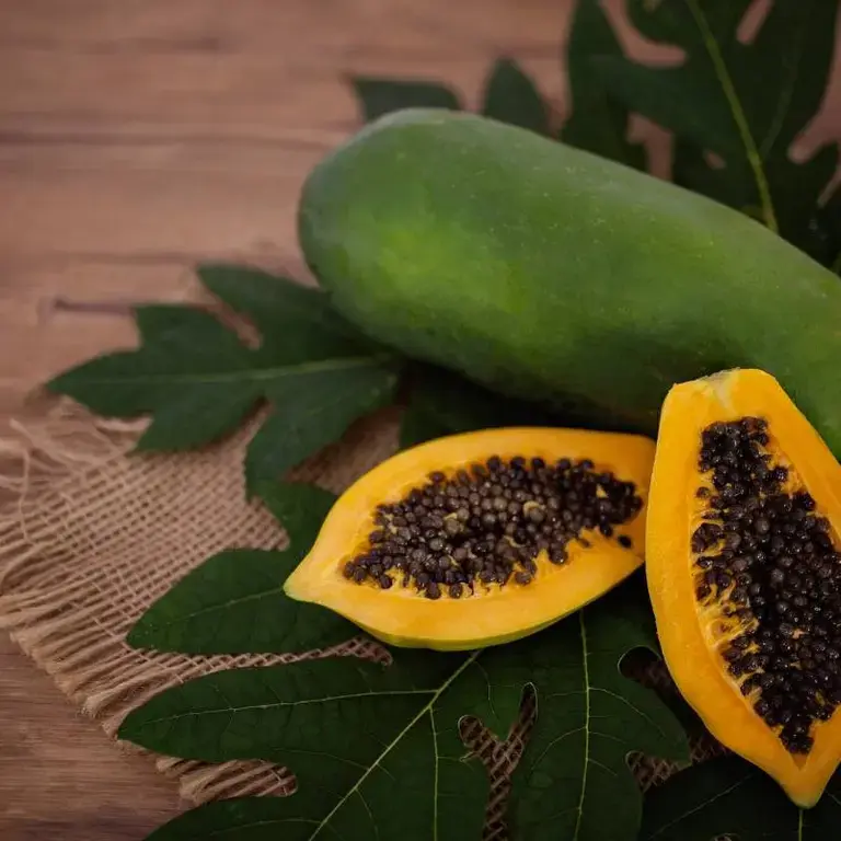 ¿Qué es la papaya?