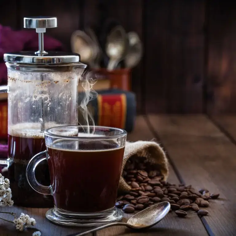 prensa francesa guía qué es