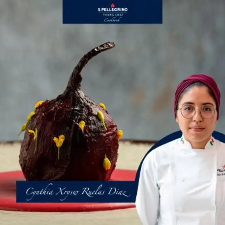 Chyntia Xrysw Ruelas Diaz