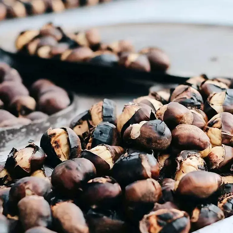 Datos sobre los alimentos