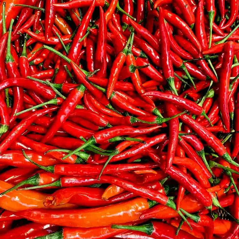 Mitos de la alimentación