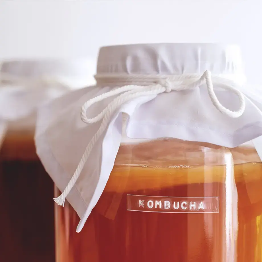 Orange kombucha 