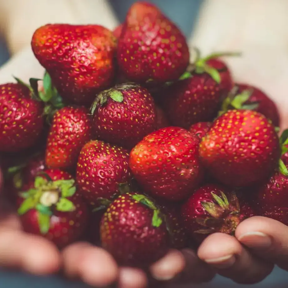 Fruta roja fresas