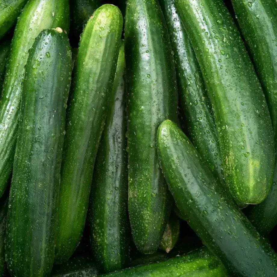Las variedades de pepino más comunes y cómo comerlas