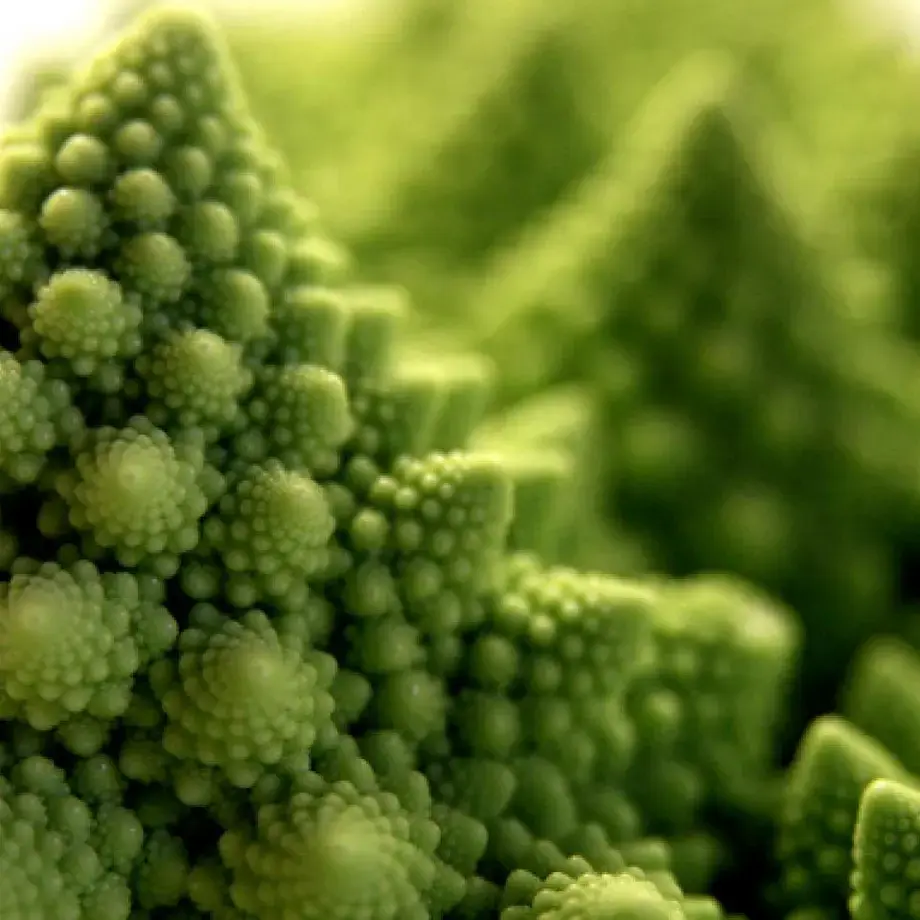 alimentos alergia níquel - Finedininglovers