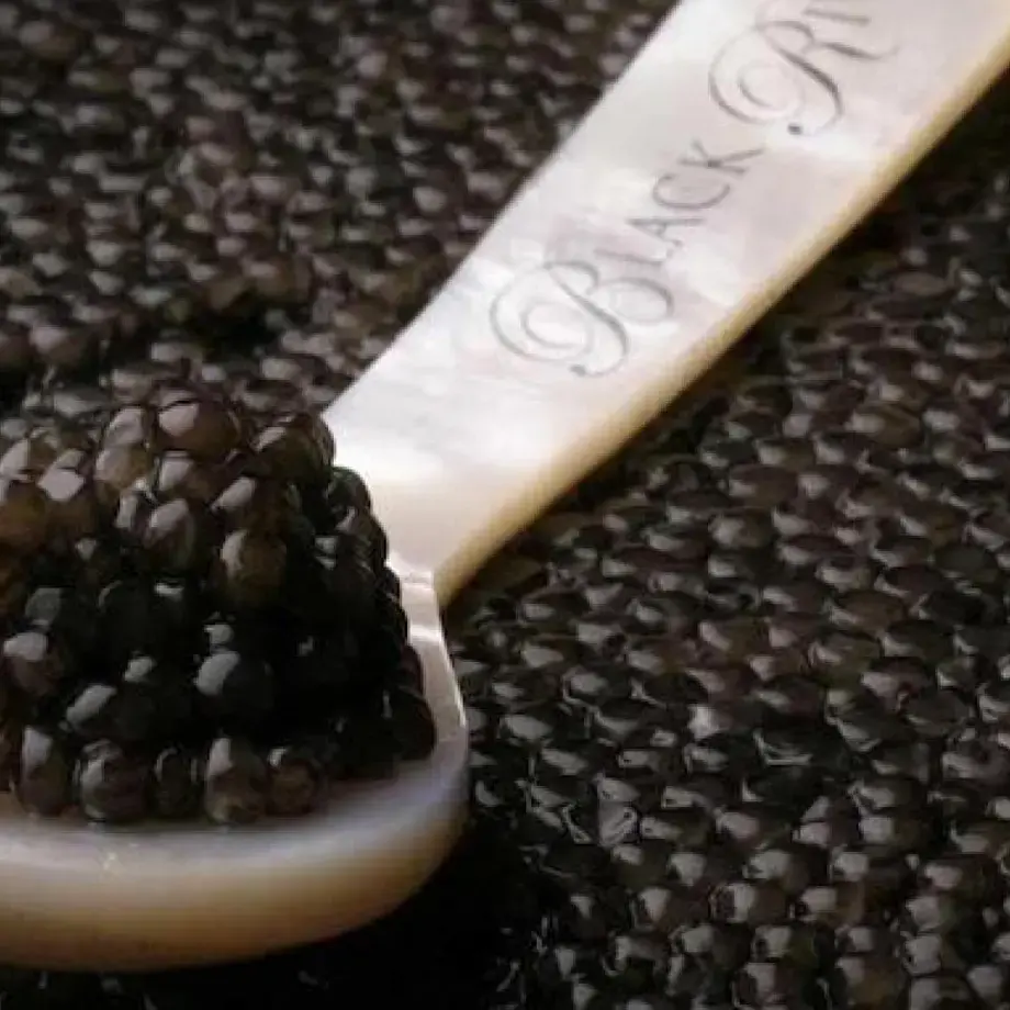 Caviar