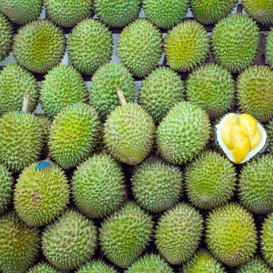 durian