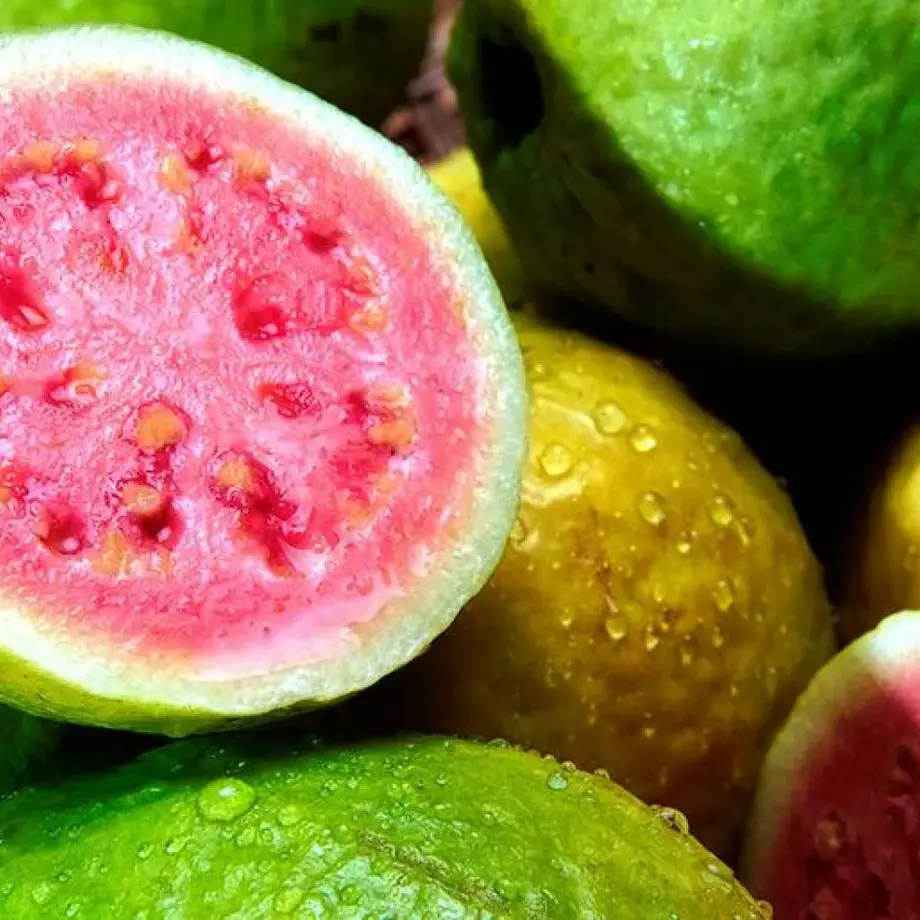 Guayaba