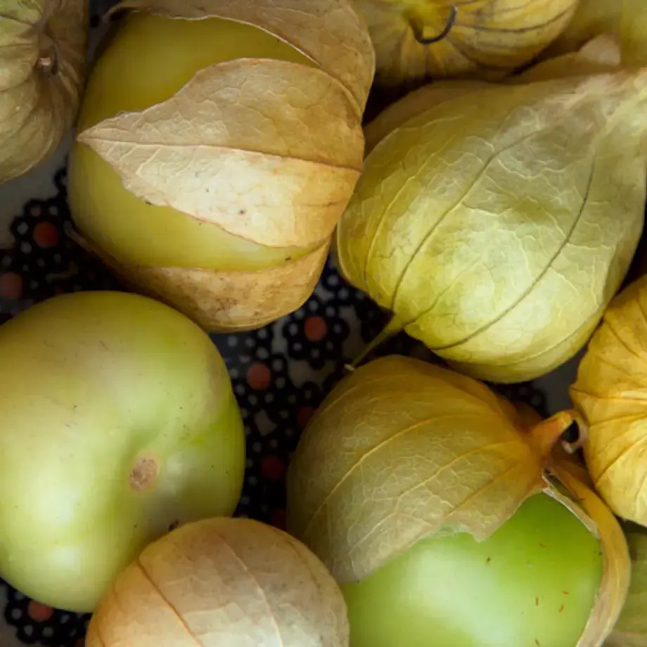 Tomatillo