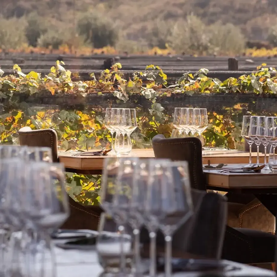 5 SUELOS - COCINA DE FINCA