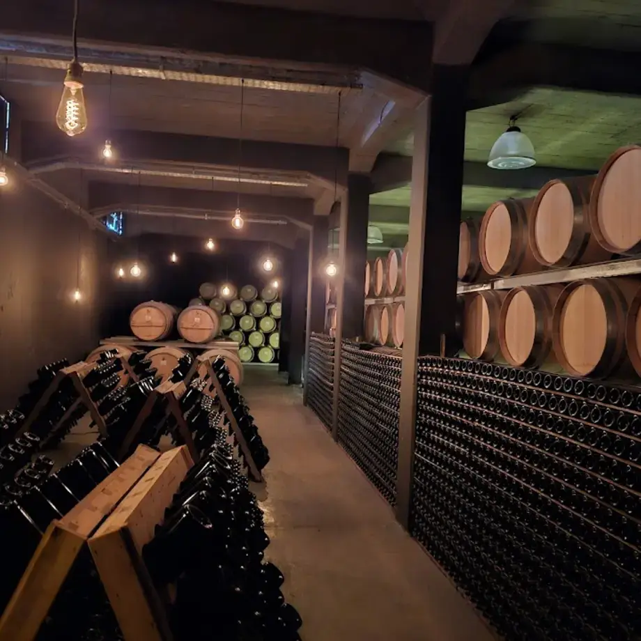 Kaiken Ramos Generales By Francis Mallmann