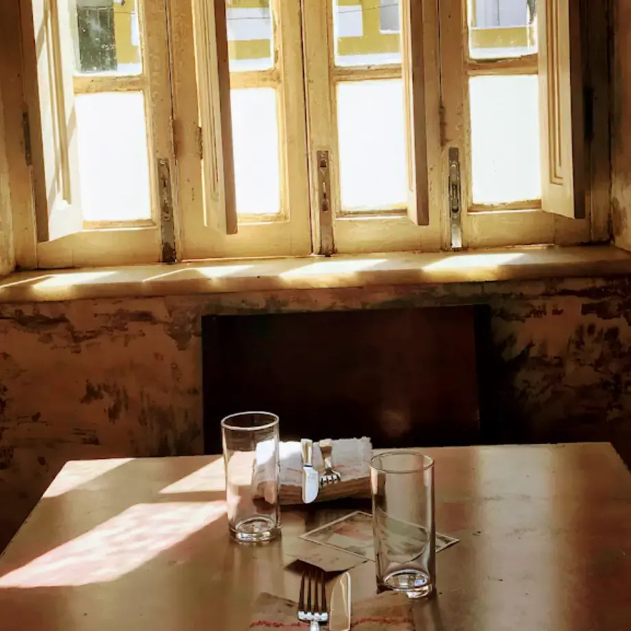 Sud, o pássaro verde