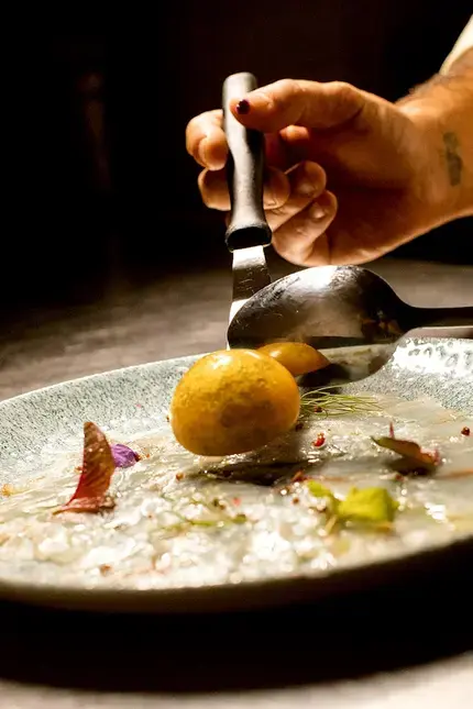 Moderna o alta cocina moderna