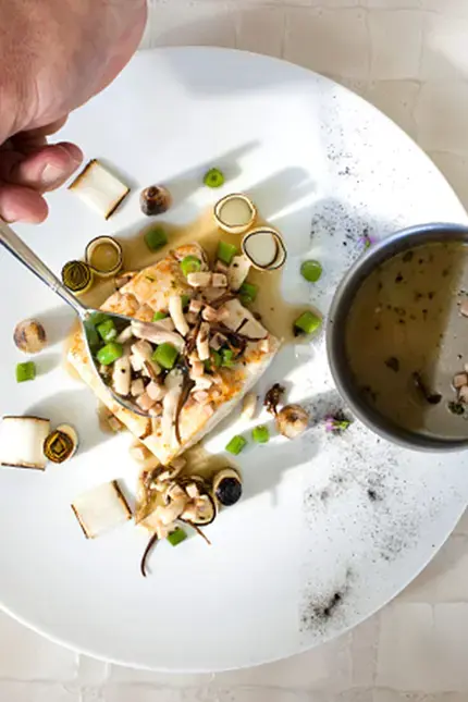 Técnicas de emplatado